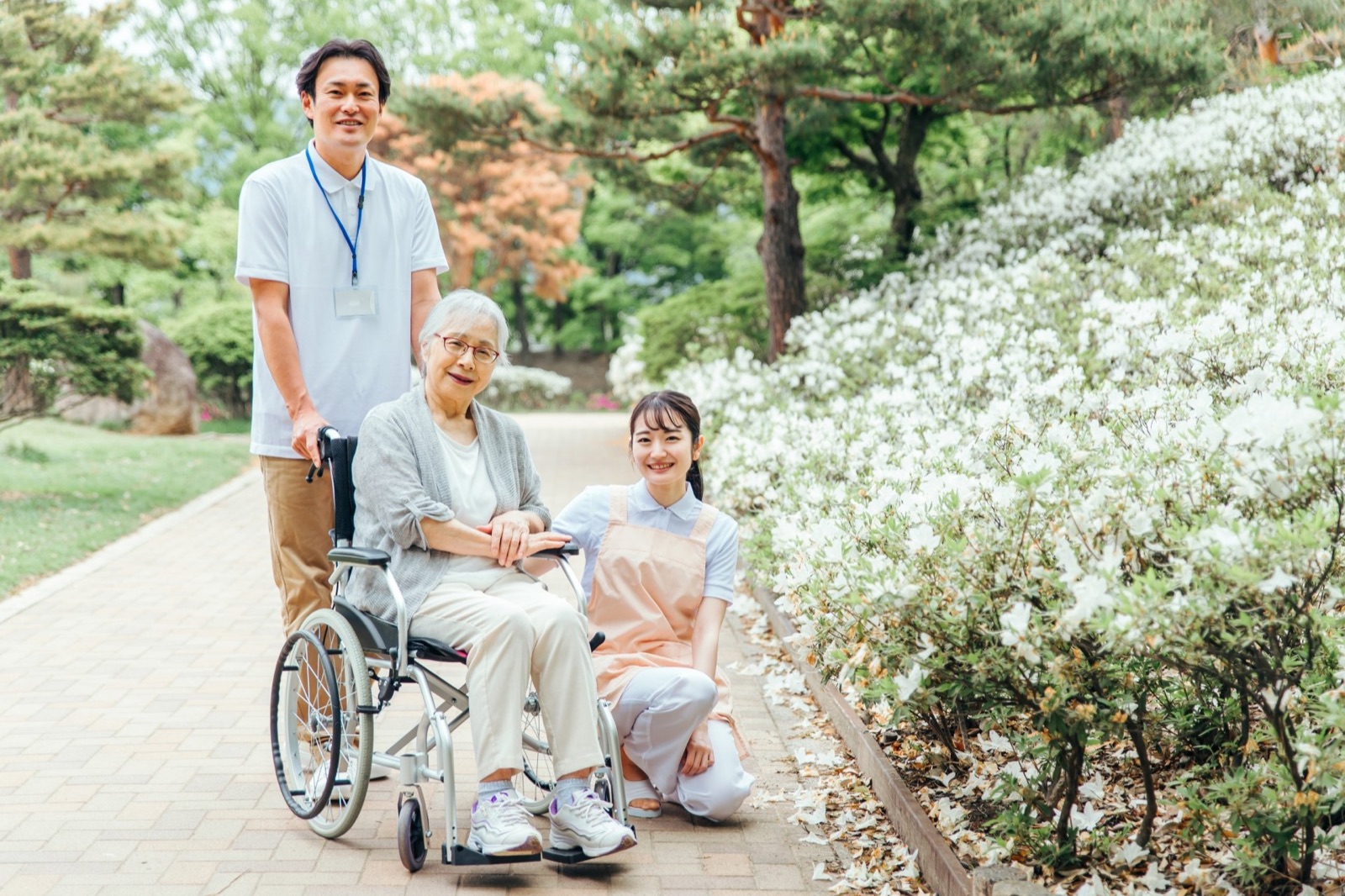桜の下で車椅子をサポートする介護士
